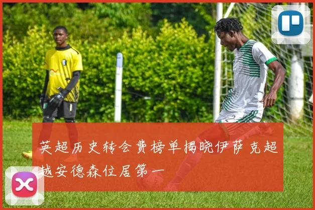 英超历史转会费榜单揭晓伊萨克超越安德森位居第一