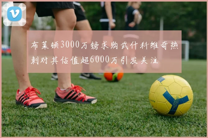 布莱顿3000万镑求购武什科维奇热刺对其估值超6000万引发关注