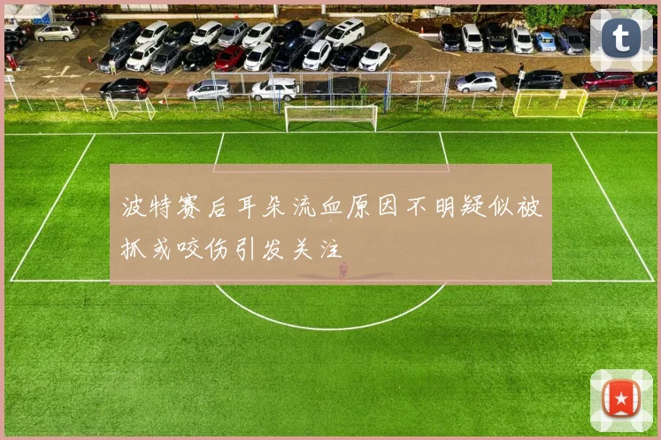 波特赛后耳朵流血原因不明疑似被抓或咬伤引发关注