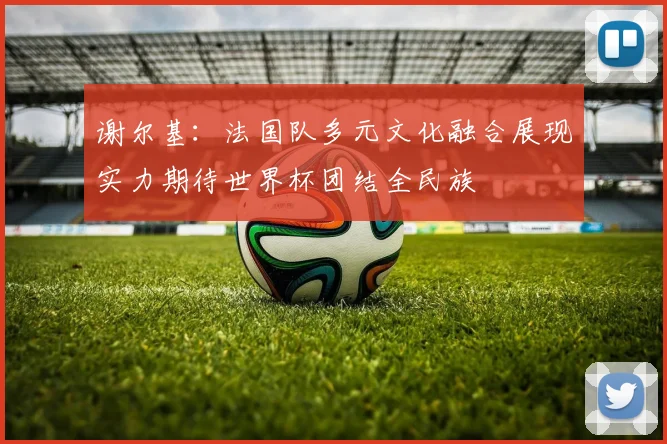 谢尔基：法国队多元文化融合展现实力期待世界杯团结全民族