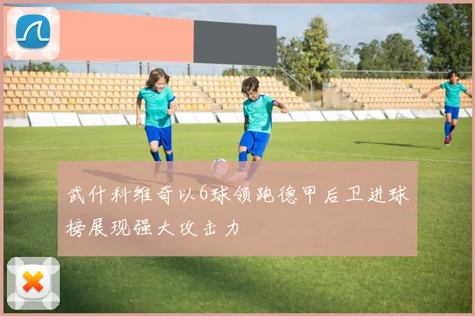 武什科维奇以6球领跑德甲后卫进球榜展现强大攻击力